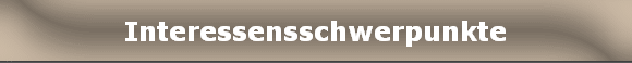 Interessensschwerpunkte